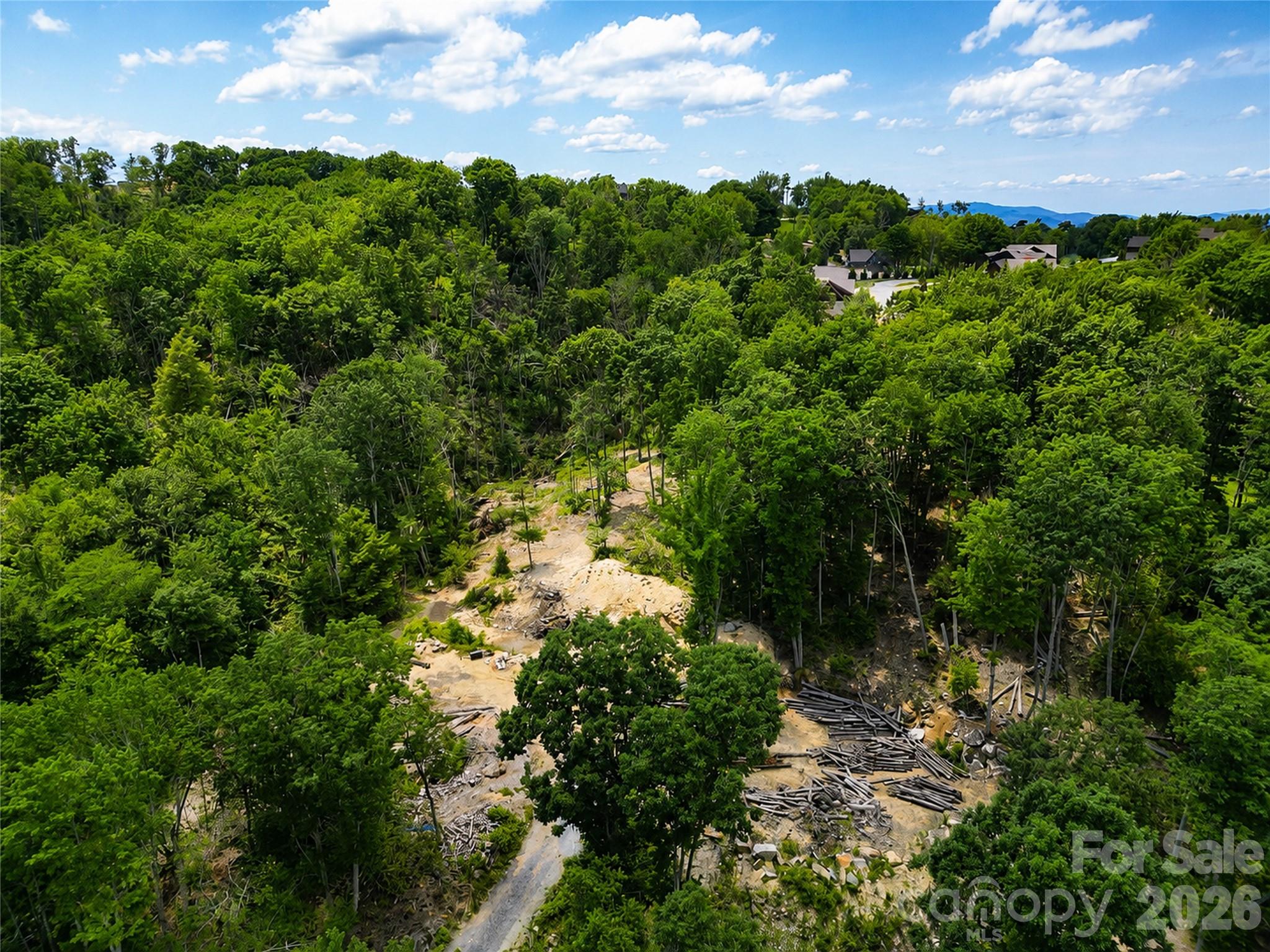 Lot 96 Eagles Nest Trail Property Photo 10