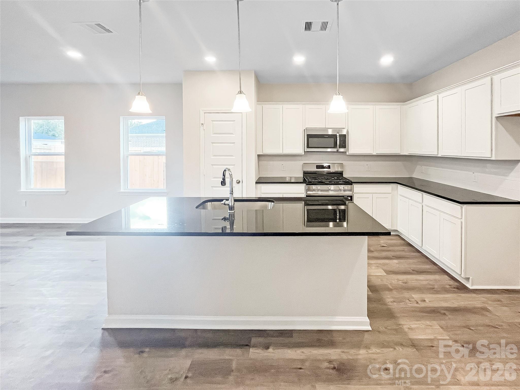 4223 Ruth Creek Court Property Photo 4