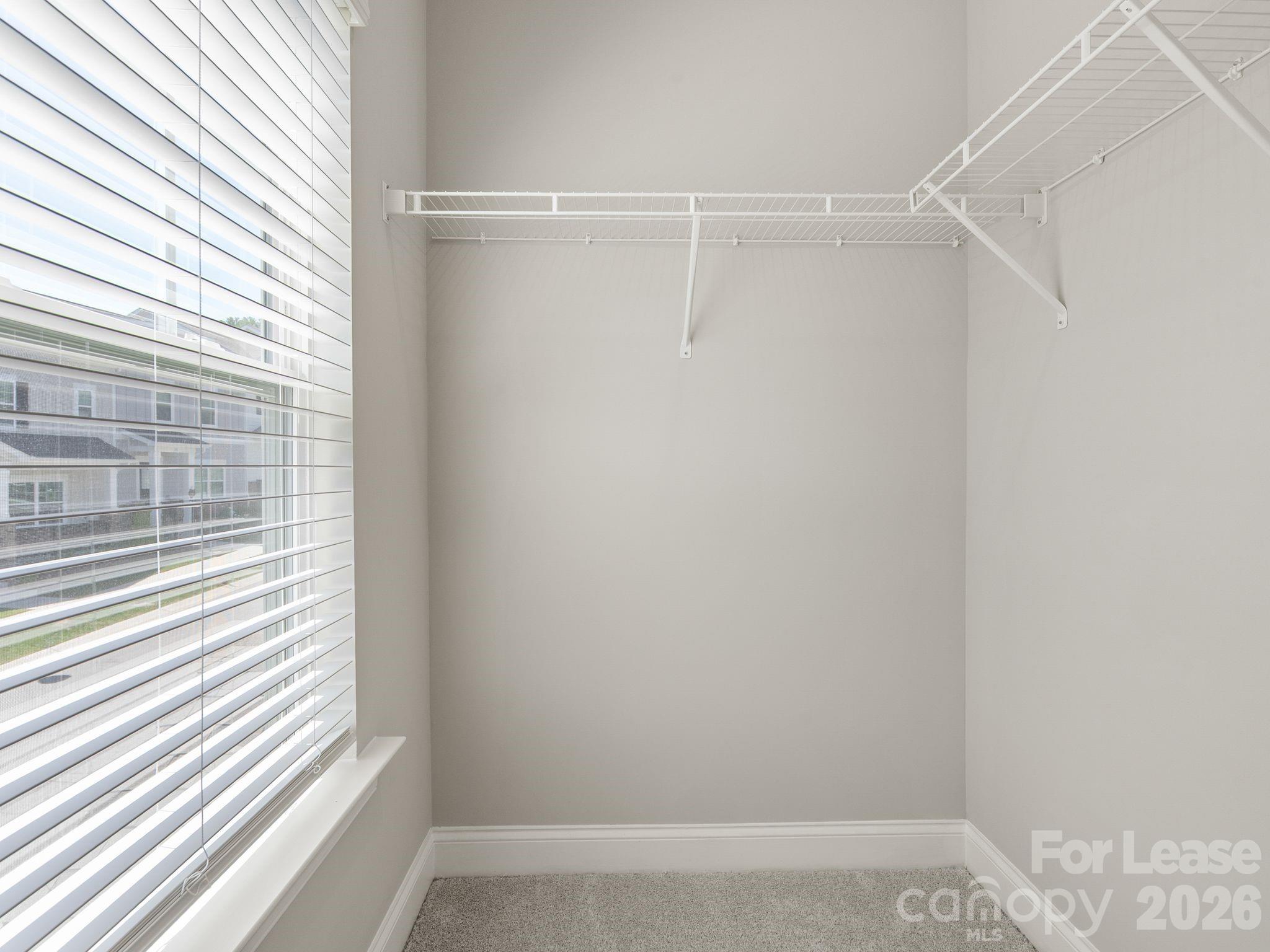 62 Walnut Springs Drive Property Photo 31
