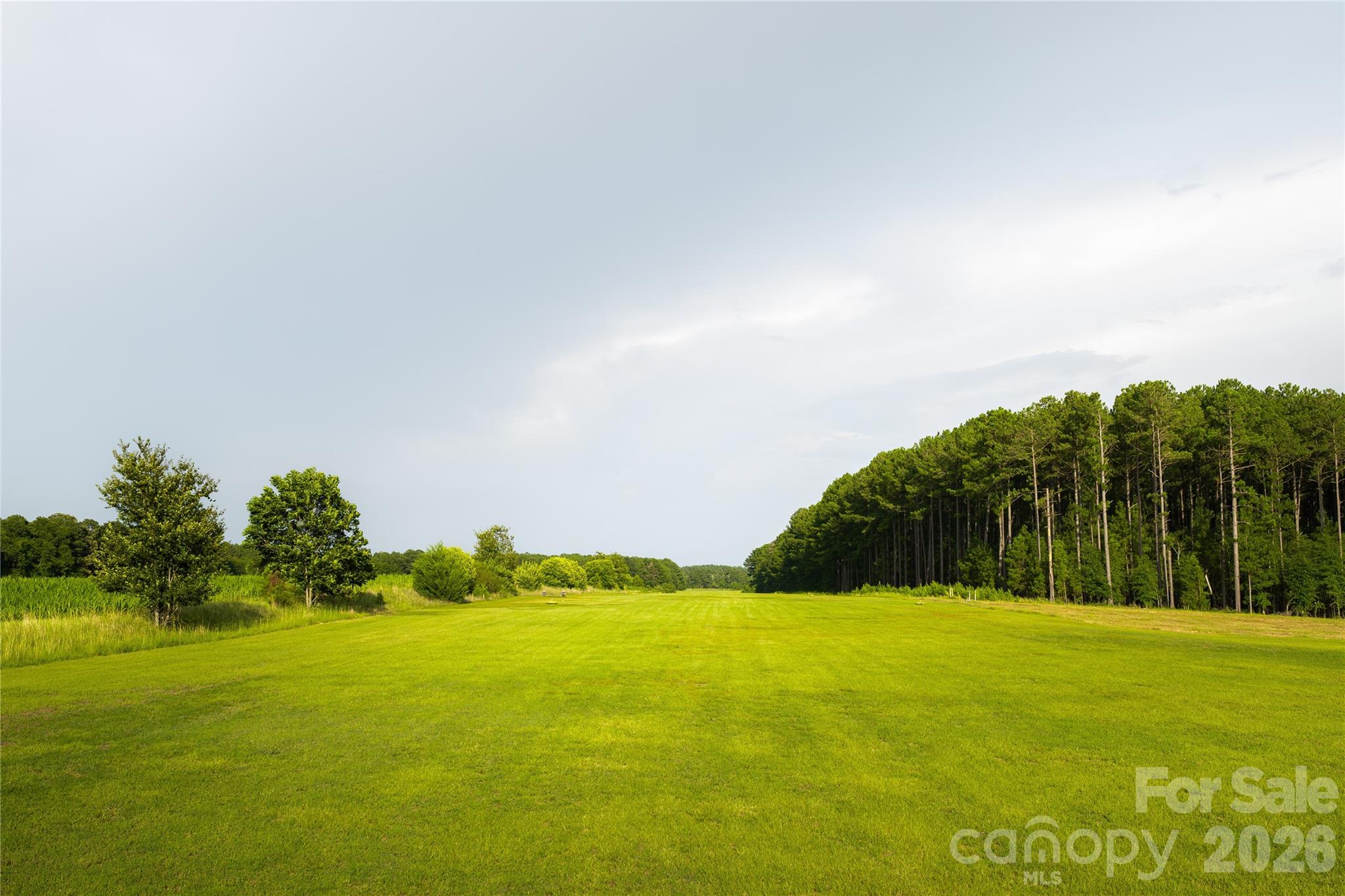 121 Athens School Road Property Photo 19