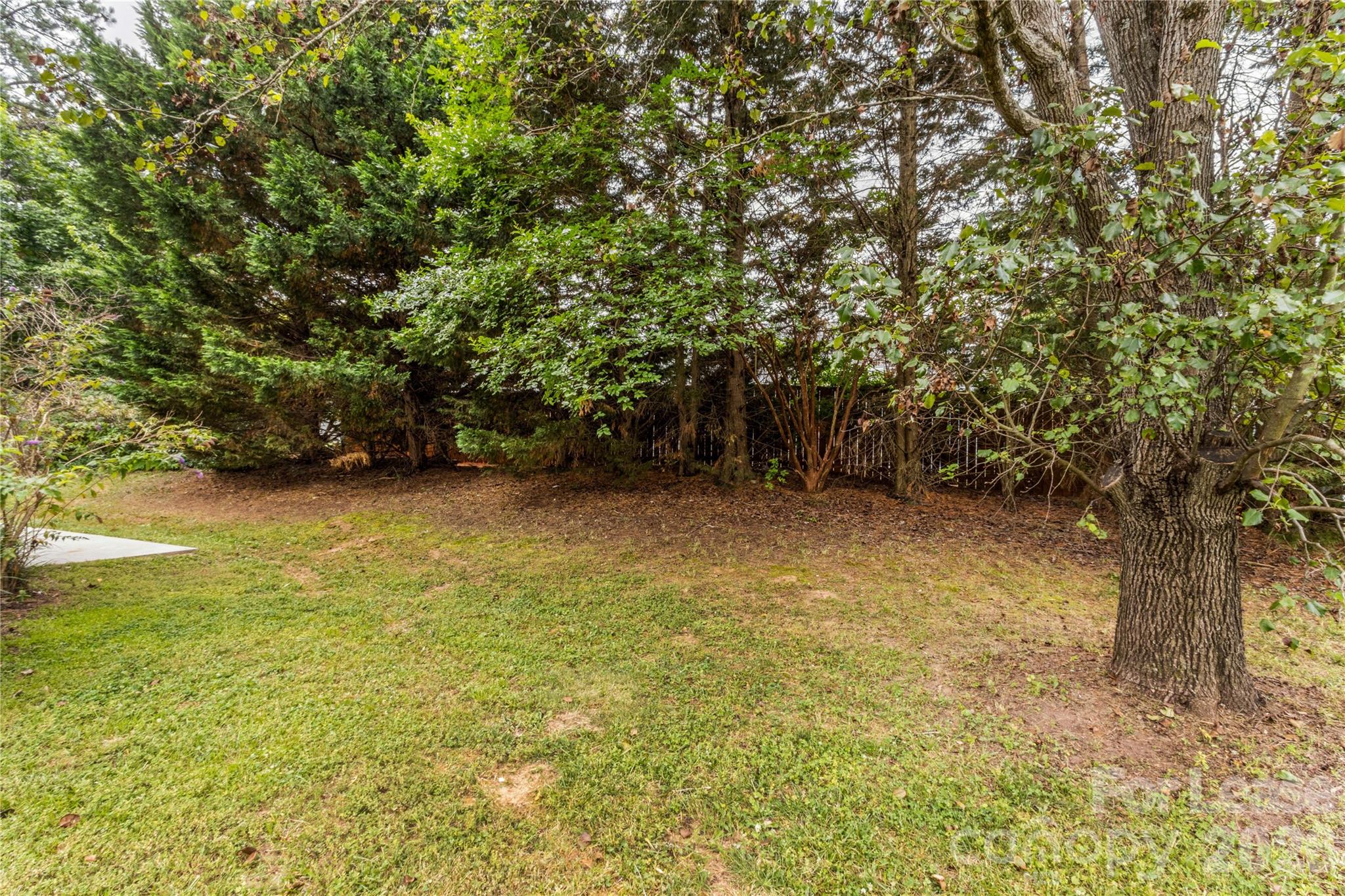 123 Meadow Lilly Court Property Photo 35