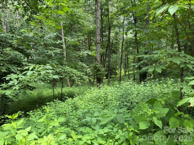 Lot 6 Gadohi Trail 6 Property Photo 4