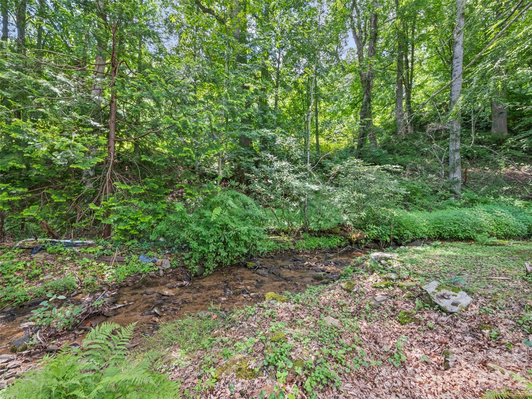 64 Turner Branch Property Photo 34