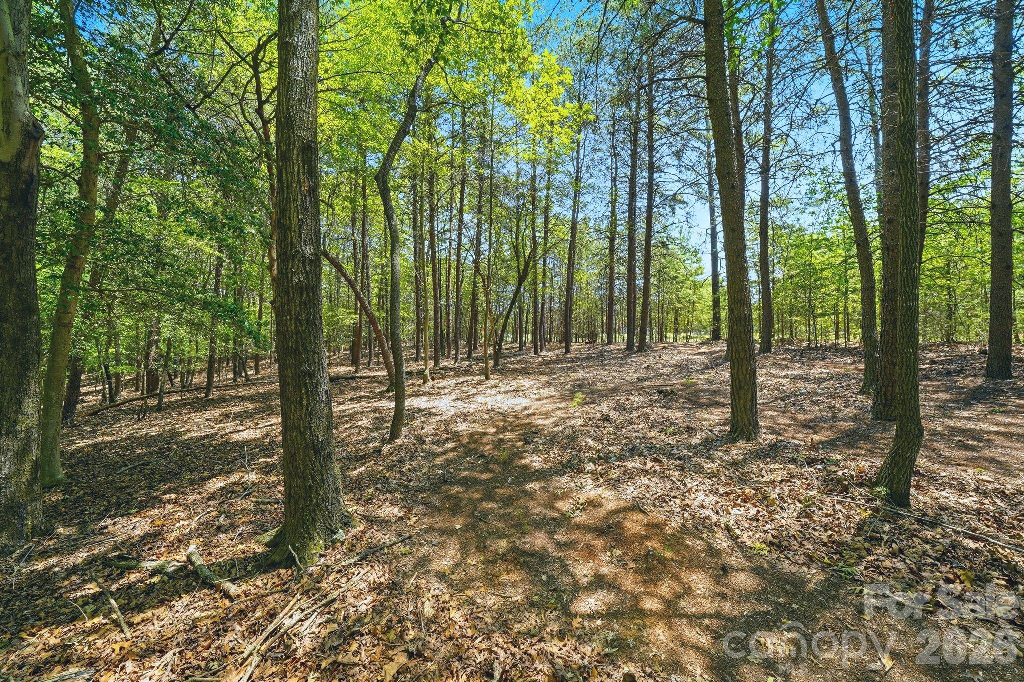 1324 Reflection Pointe Boulevard Property Photo 5