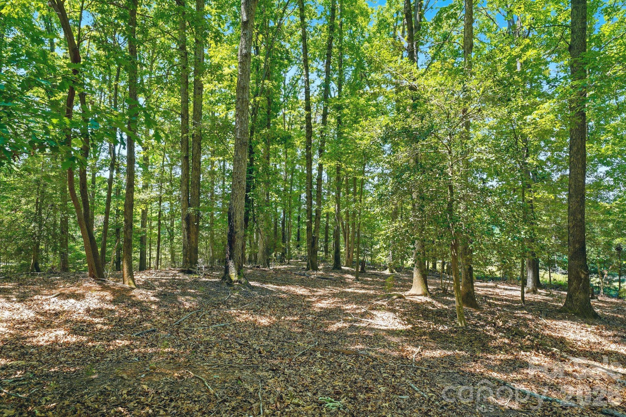 1324 Reflection Pointe Boulevard Property Photo 15