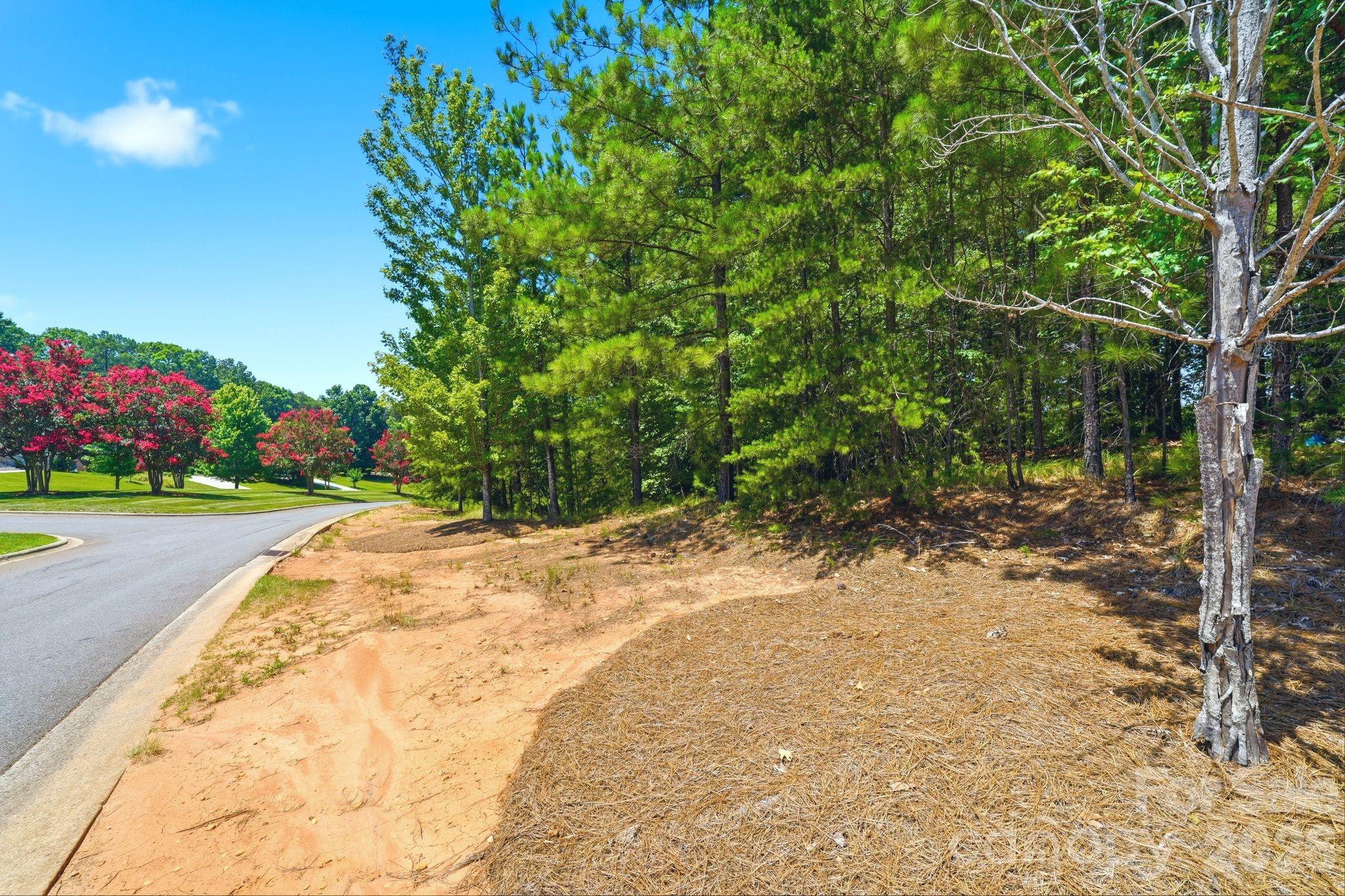 1324 Reflection Pointe Boulevard Property Photo 17