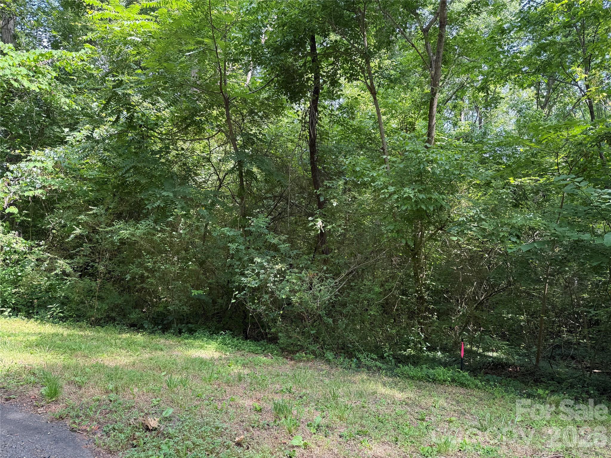 9562 Regent Drive Property Photo 2