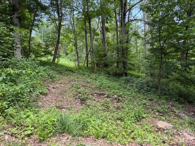 Lot 16 Iga Trail 16 Property Photo 3