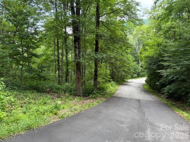 Lot 16 Iga Trail 16 Property Photo 4