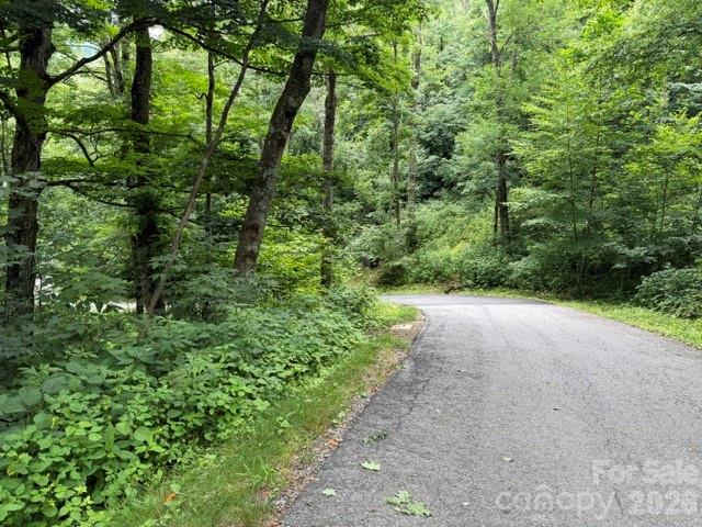 Lot 16 Iga Trail 16 Property Photo 5