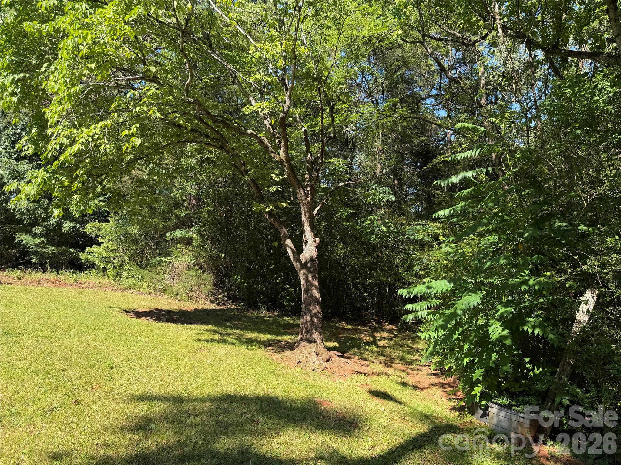 5945 Flowes Store Road Property Photo 25