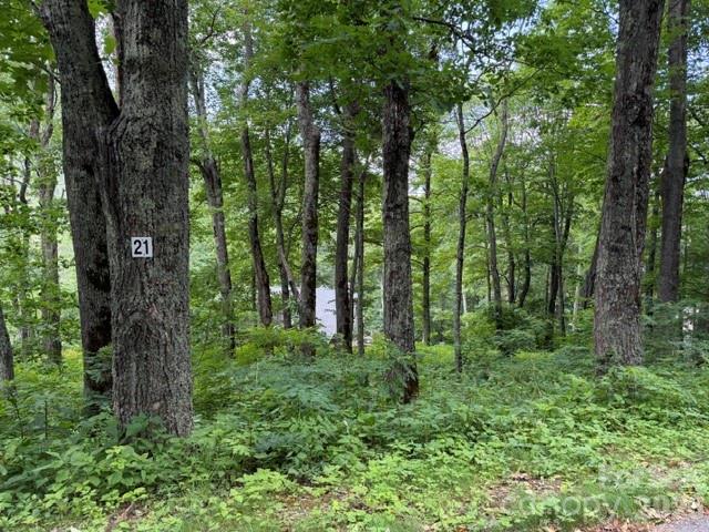 Lot 21 Odalu Trail 21 Property Photo 1