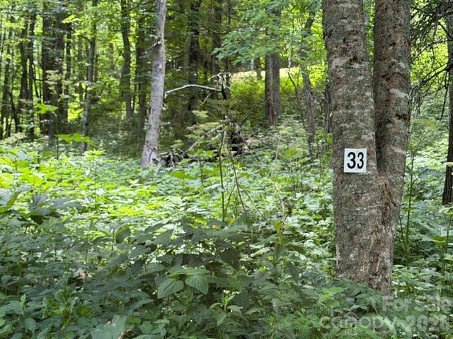 Lot 33 Toi Trail 33 Property Photo 1