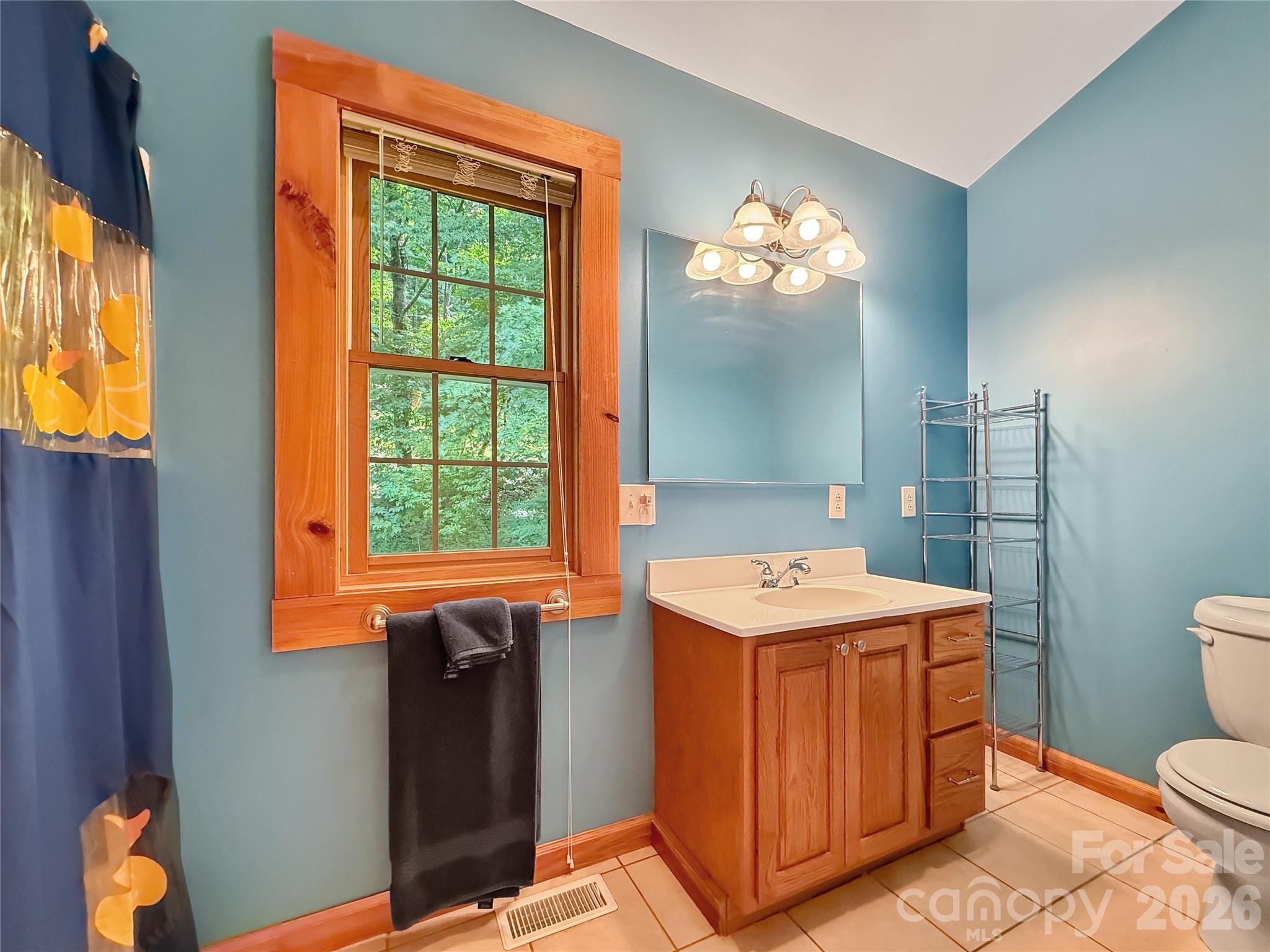 219 Red Maple Lane Property Photo 23