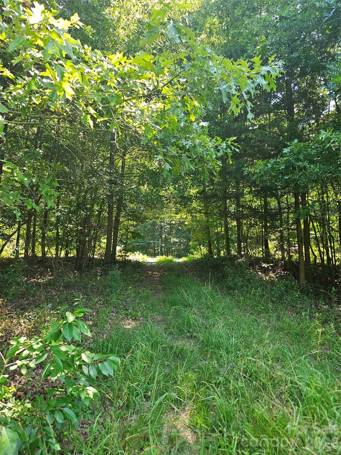 16.70ac Providence Road Property Photo 2