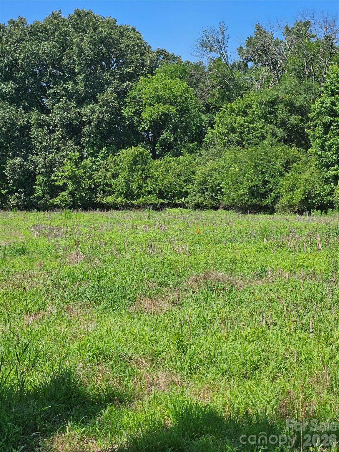 16.70ac Providence Road Property Photo 3