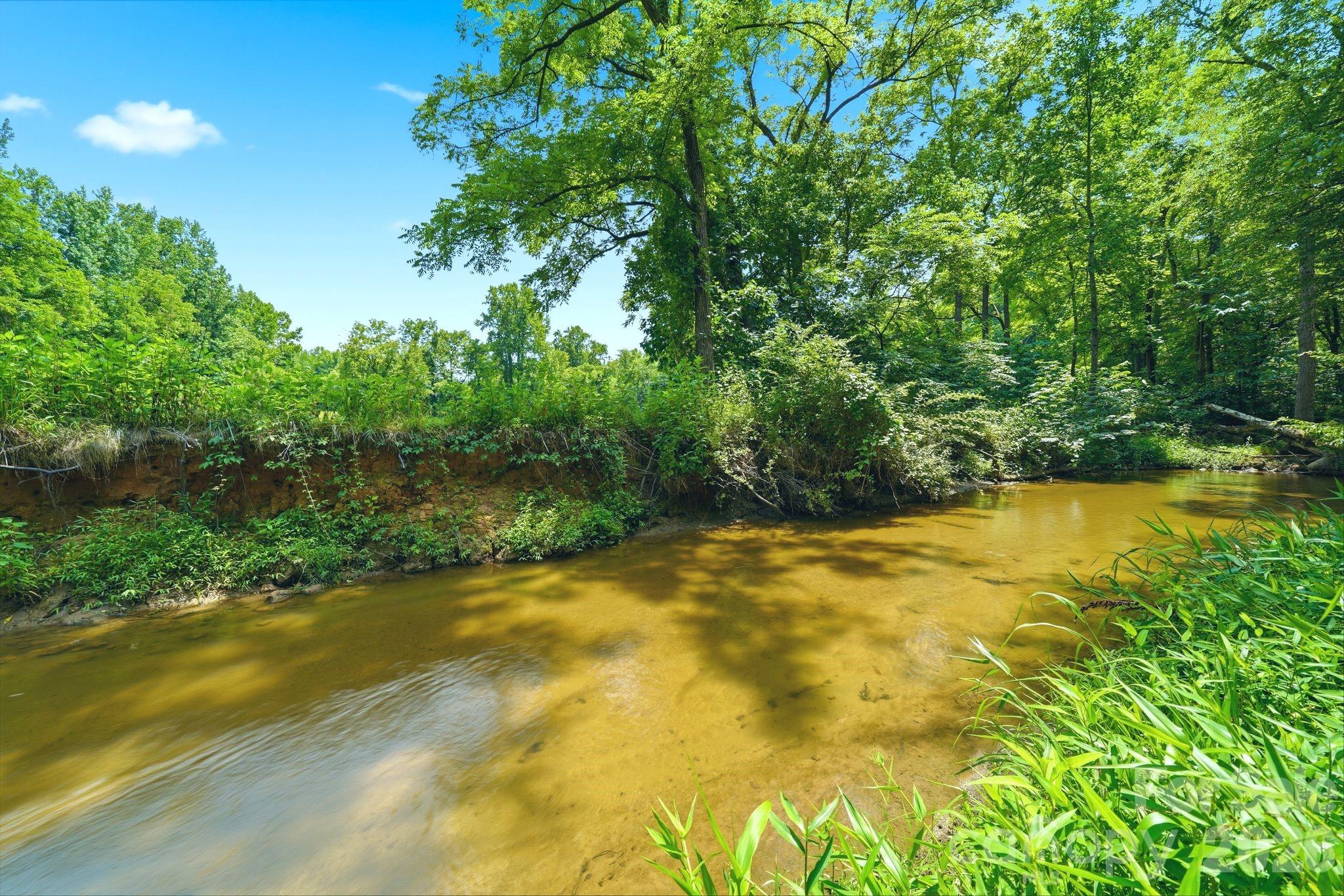 309 Walking Horse Trail Property Photo 40
