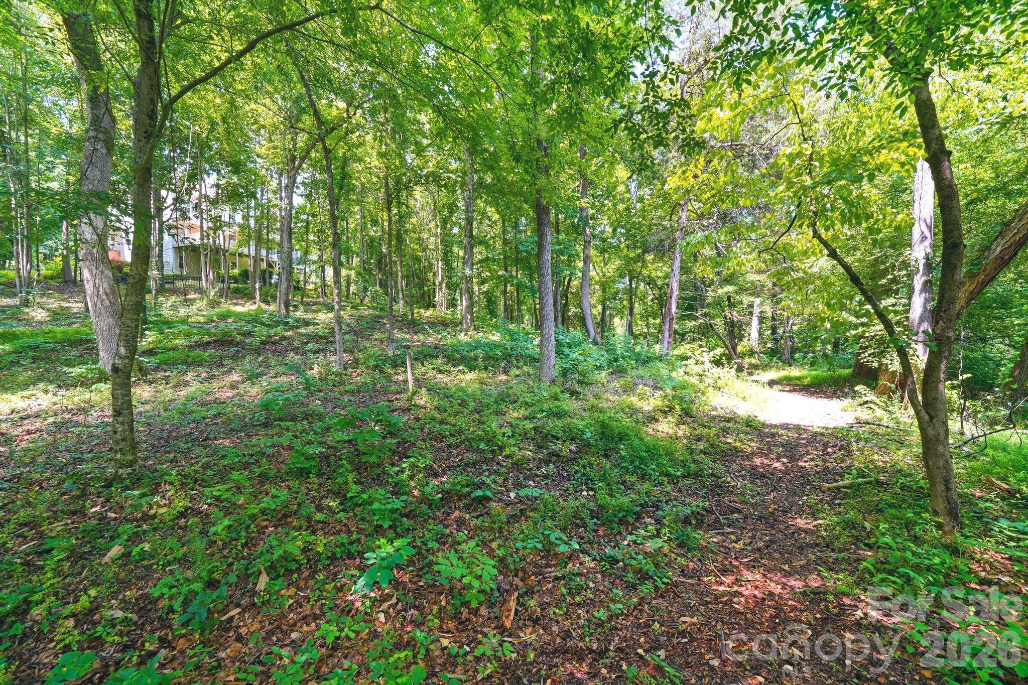 309 Walking Horse Trail Property Photo 41