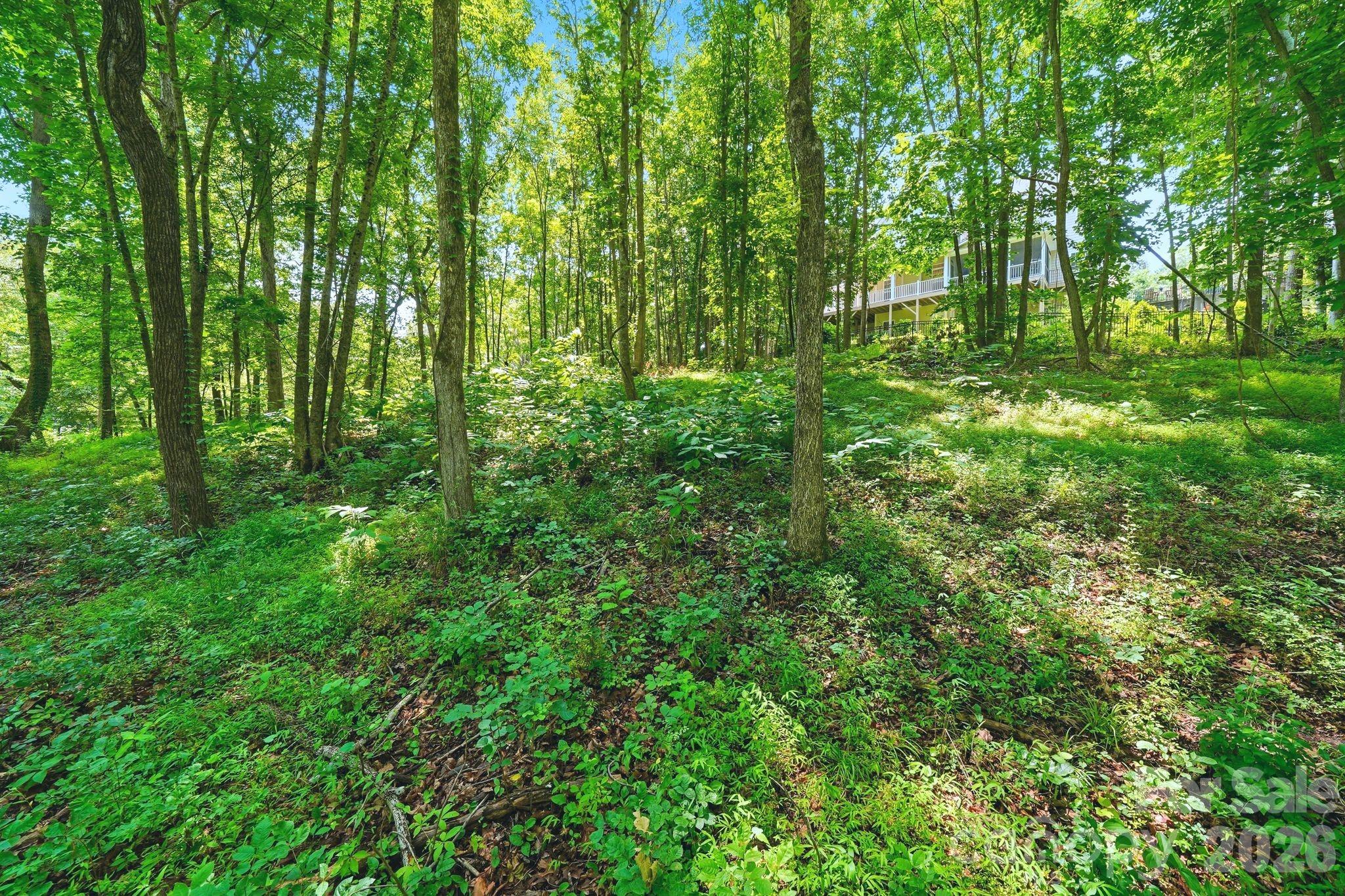 309 Walking Horse Trail Property Photo 42