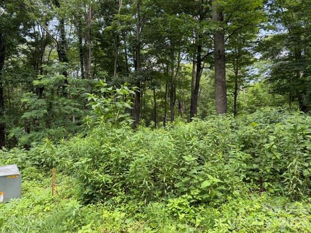 Lot 28 Toi Trail 28 Property Photo 3