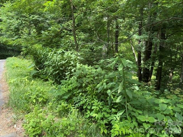 Lot 32 Toi Trail 32 Property Photo 2