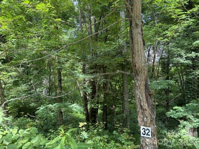 Lot 32 Toi Trail 32 Property Photo 4