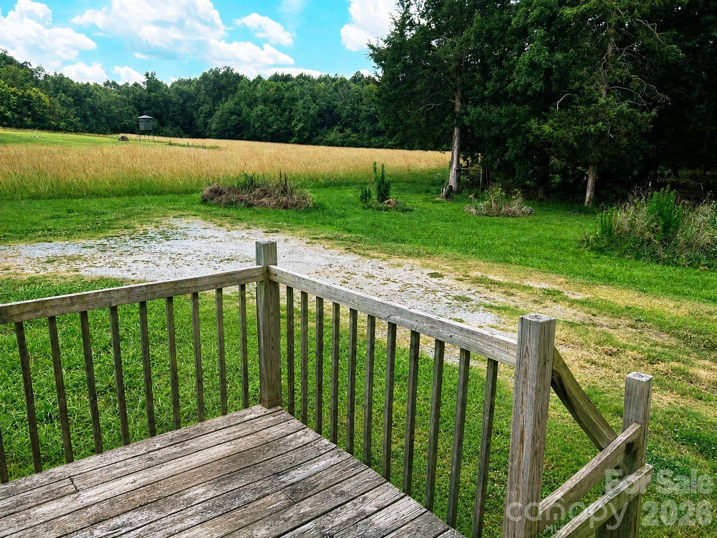 295 Rushing Road Property Photo 3