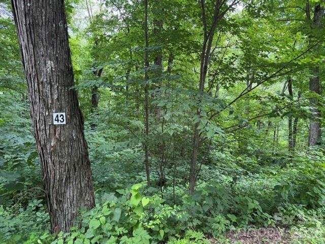 Lot 43 Gata Trail 43 Property Photo 1