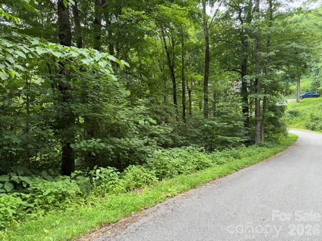 Lot 43 Gata Trail 43 Property Photo 5