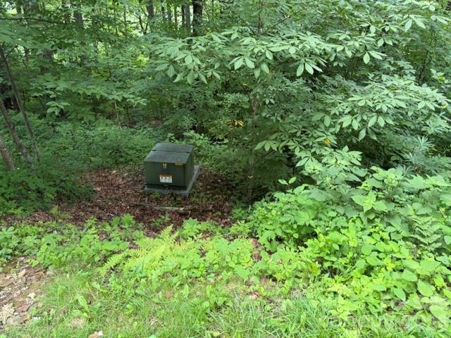 Lot 43 Gata Trail 43 Property Photo 6