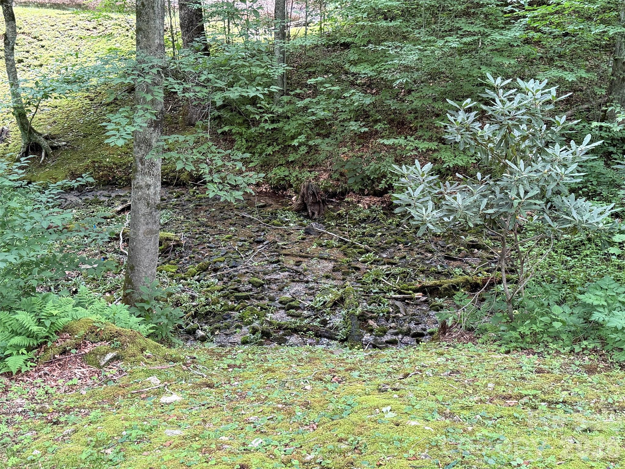 Lot 43 Gata Trail 43 Property Photo 17