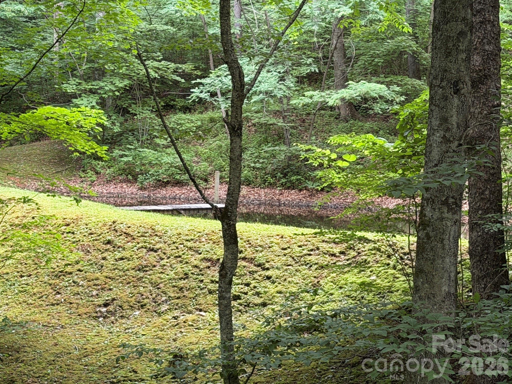 Lot 43 Gata Trail 43 Property Photo 18