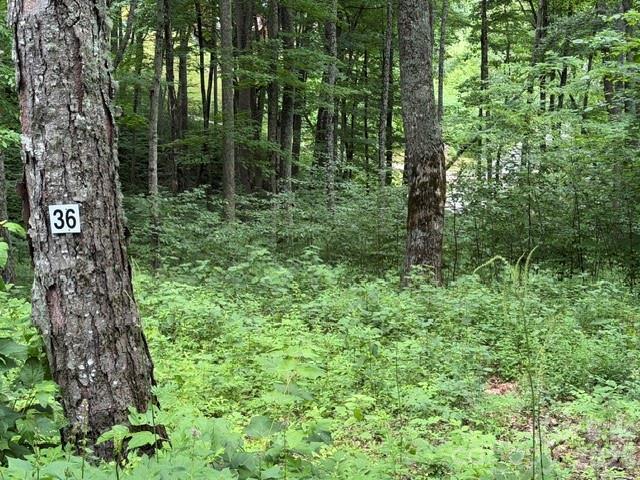 Lot 36 Odalu Trail 36 Property Photo 1