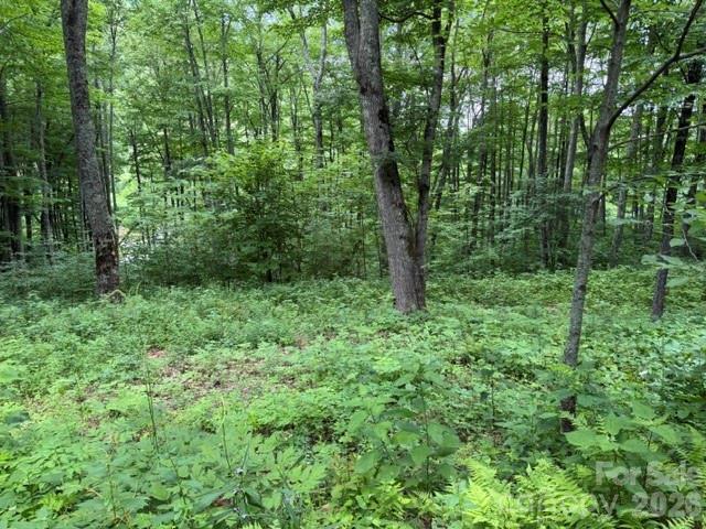 Lot 36 Odalu Trail 36 Property Photo 2