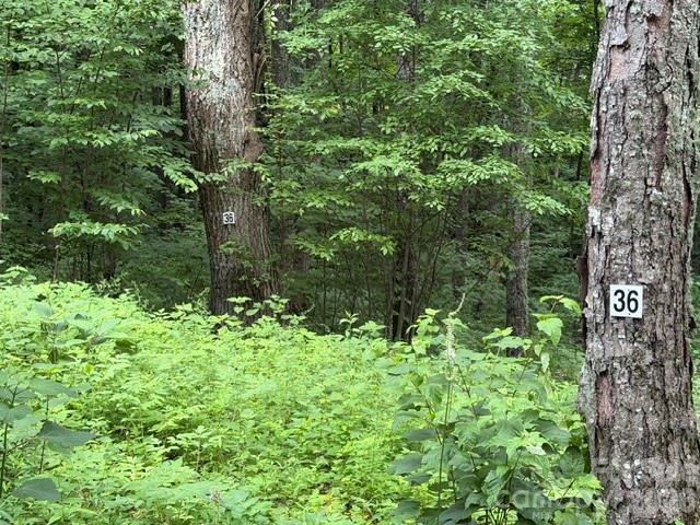 Lot 36 Odalu Trail 36 Property Photo 5