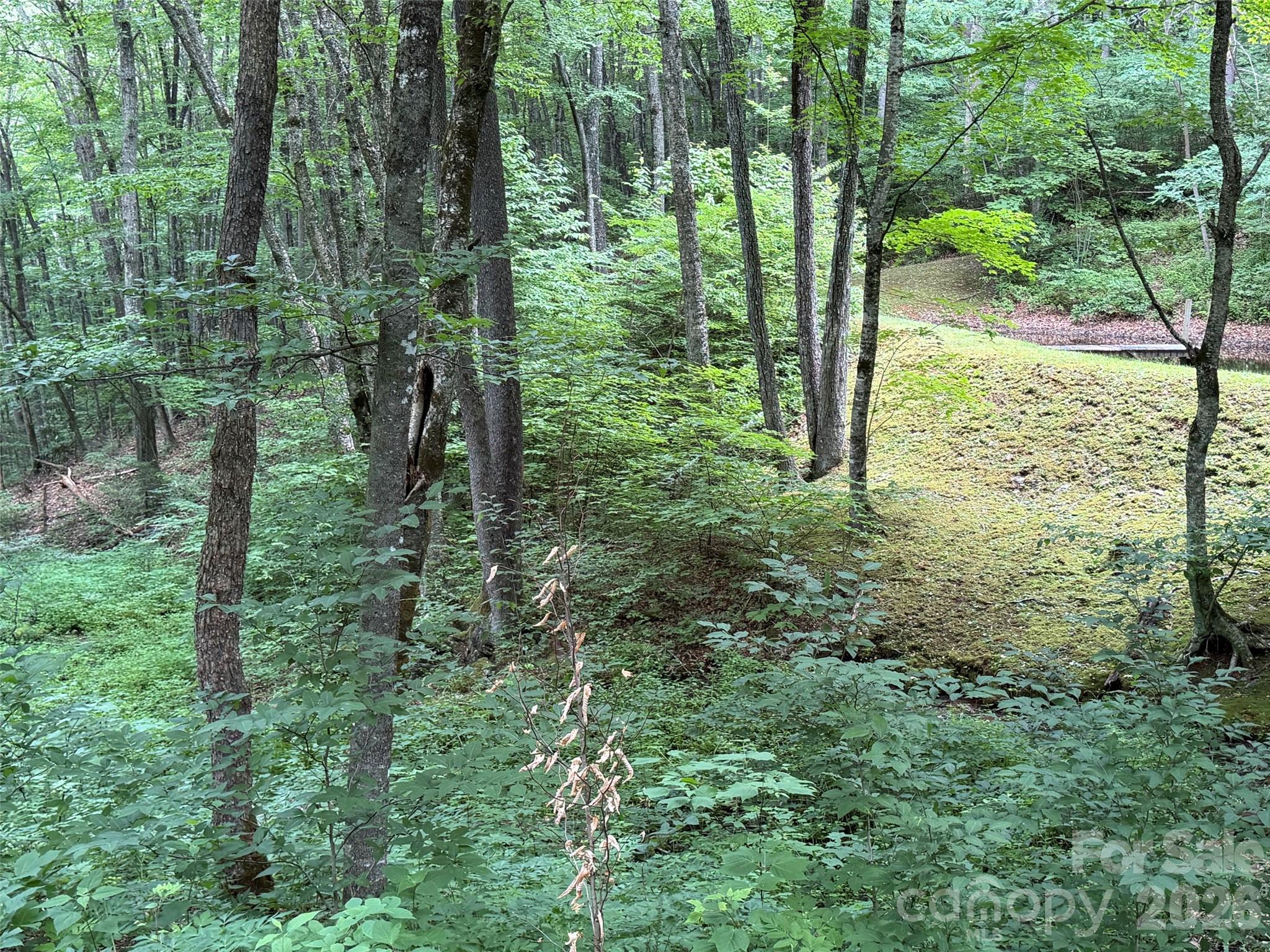Lot 36 Odalu Trail 36 Property Photo 15