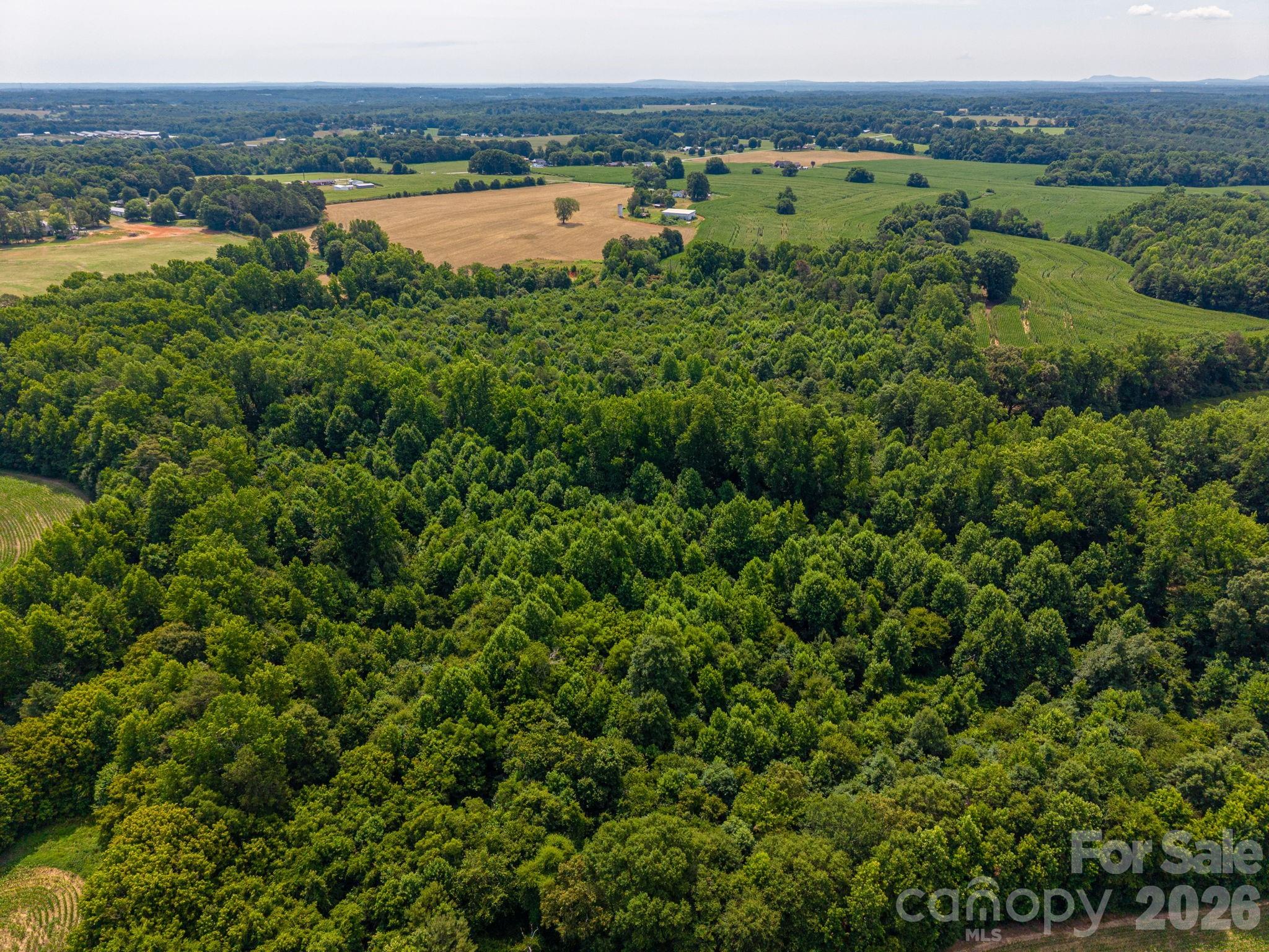 1403 Wehunt Store Road Property Photo 44