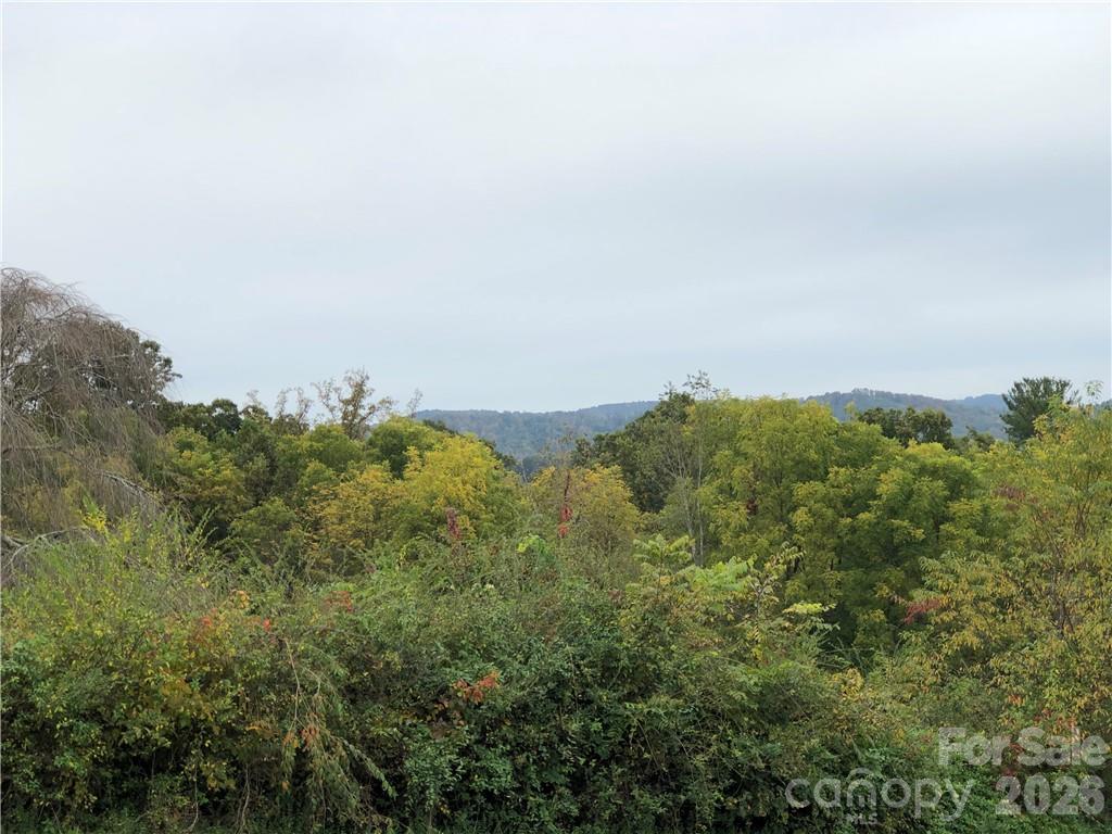 836 Burney Mountain Road Property Photo 2