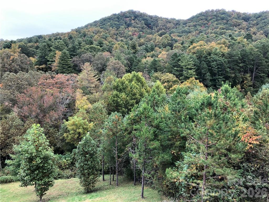 836 Burney Mountain Road Property Photo 23