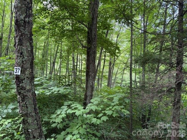 Lot 37 Odalu Trail 37 Property Photo 2