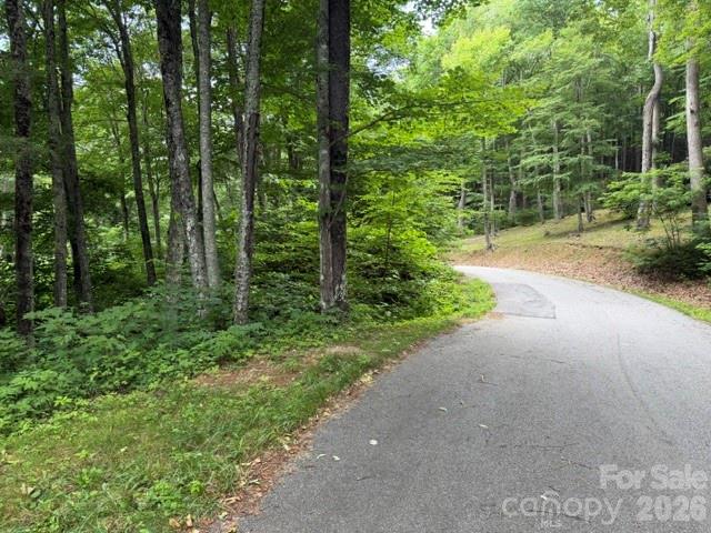 Lot 37 Odalu Trail 37 Property Photo 3