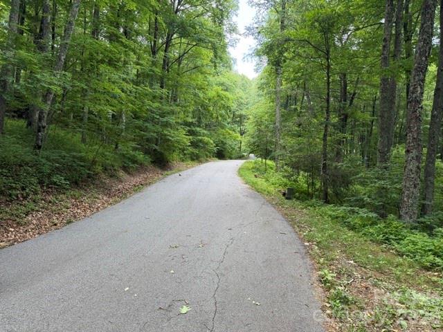 Lot 37 Odalu Trail 37 Property Photo 4