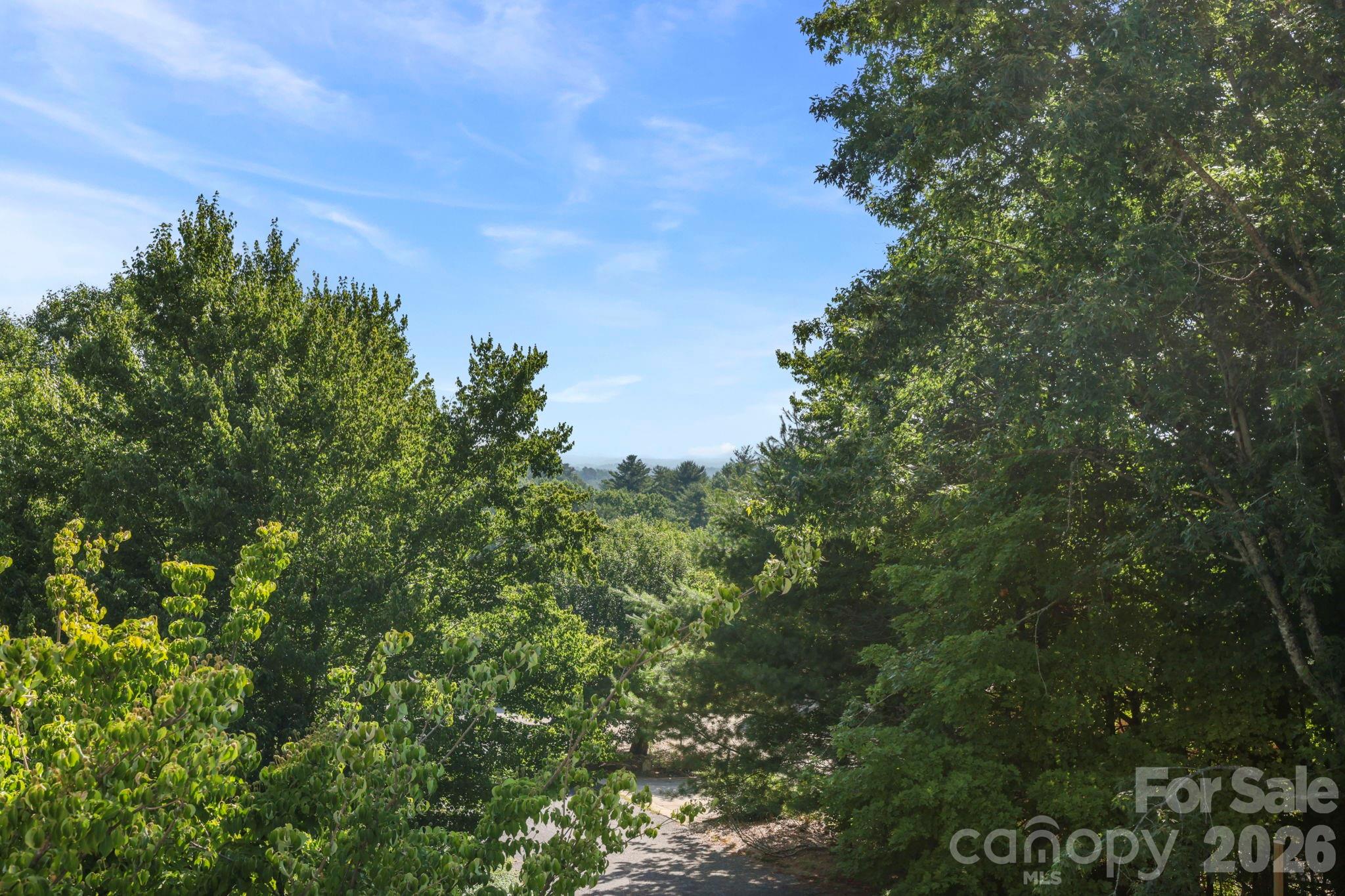 19 Thornapple Drive Property Photo 29