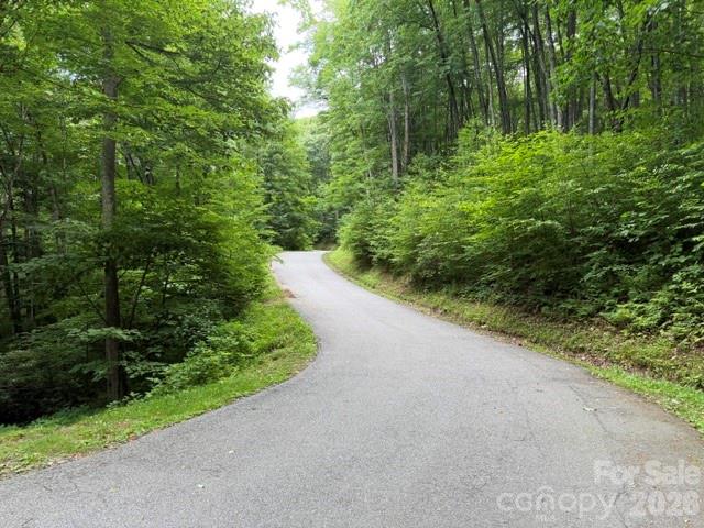 Lot 38 Yanasa Trail 38 Property Photo 2