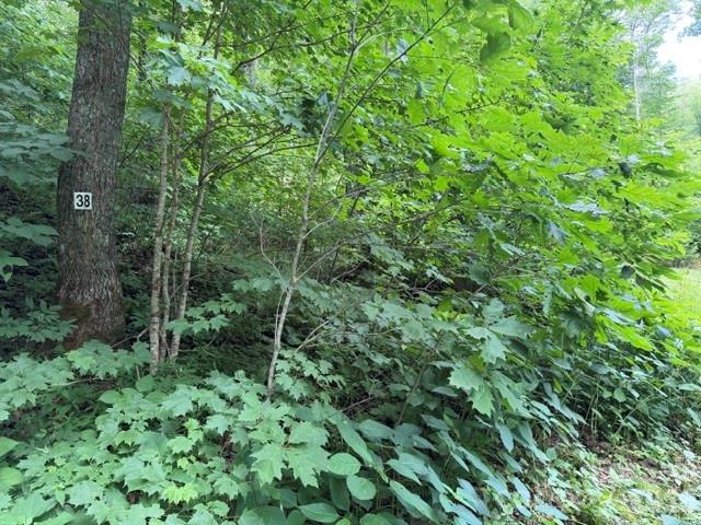 Lot 38 Yanasa Trail 38 Property Photo 4