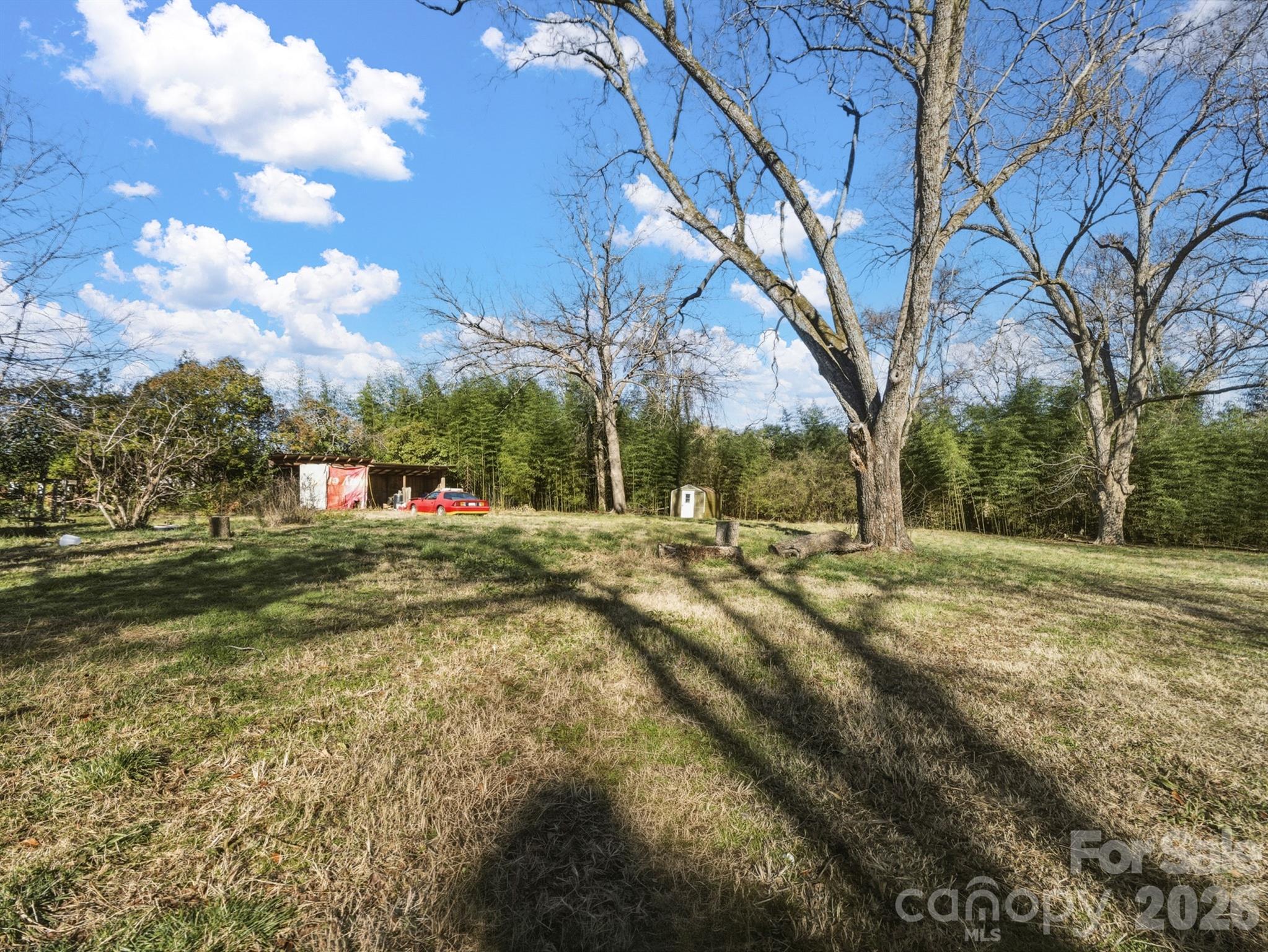 3030 Shannon Street Property Photo 18