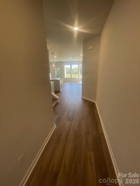 257 Alluvium Lane Property Photo 8