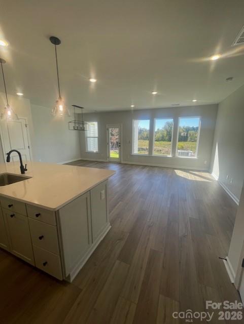 257 Alluvium Lane Property Photo 9
