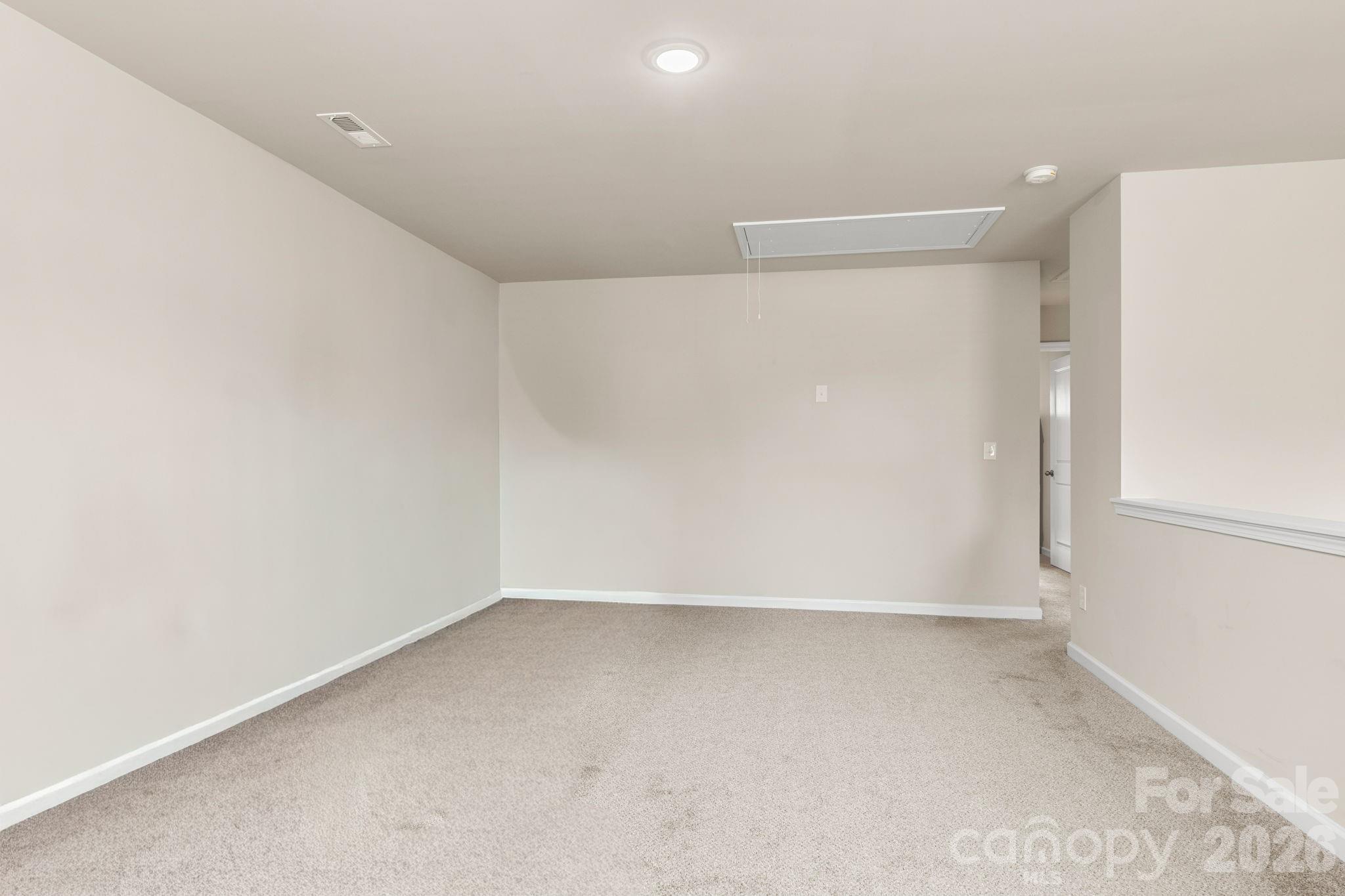 21064 Nannie Potts Lane Property Photo 28