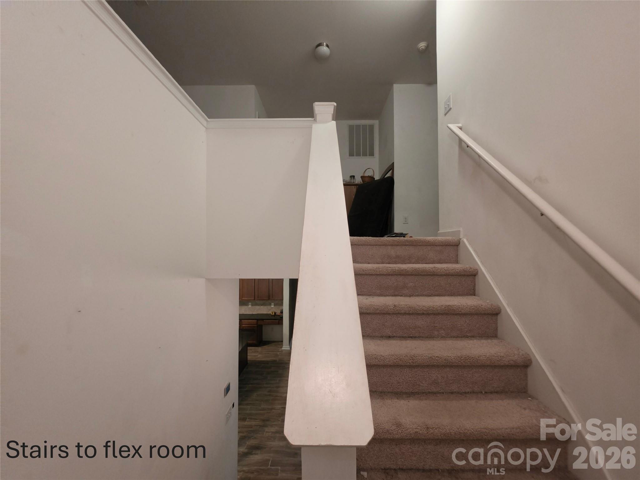 241 Ashcake Court Property Photo 11